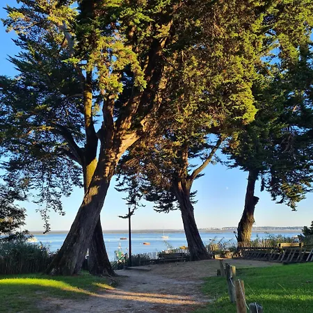 Joli Cap Ferret Les Viviers *