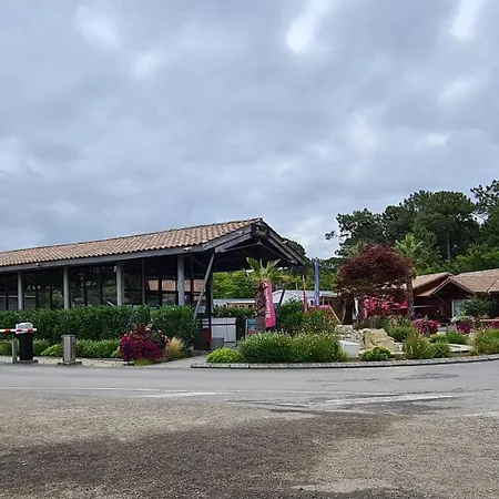 Camping Joli Cap Ferret Les Viviers *