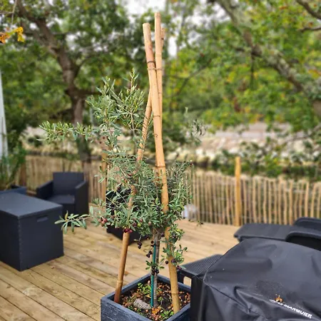 Joli Cap Ferret Les Viviers Kemping *