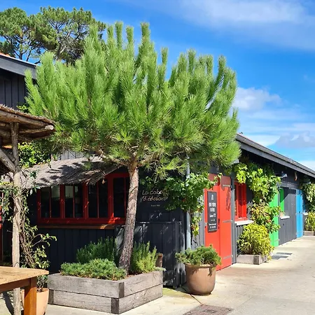 Joli Cap Ferret Les Viviers Camping