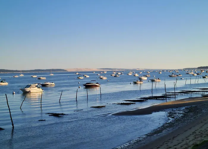 Joli Cap Ferret Les Viviers * Леж-Кап-Ферре