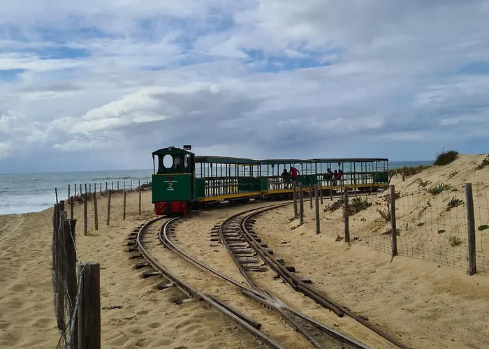 Joli Cap Ferret Les Viviers *