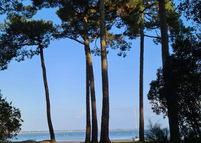 Joli Cap Ferret Les Viviers *