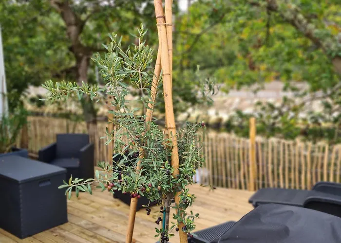 Joli Cap Ferret Les Viviers Кемпинг *