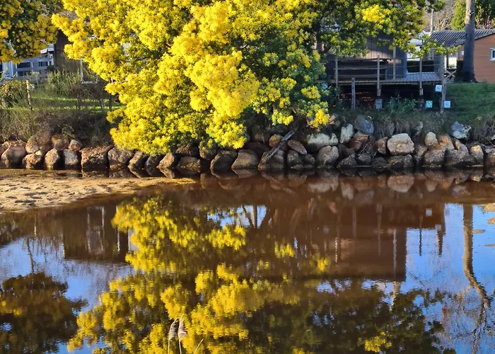 Кемпинг Joli Cap Ferret Les Viviers