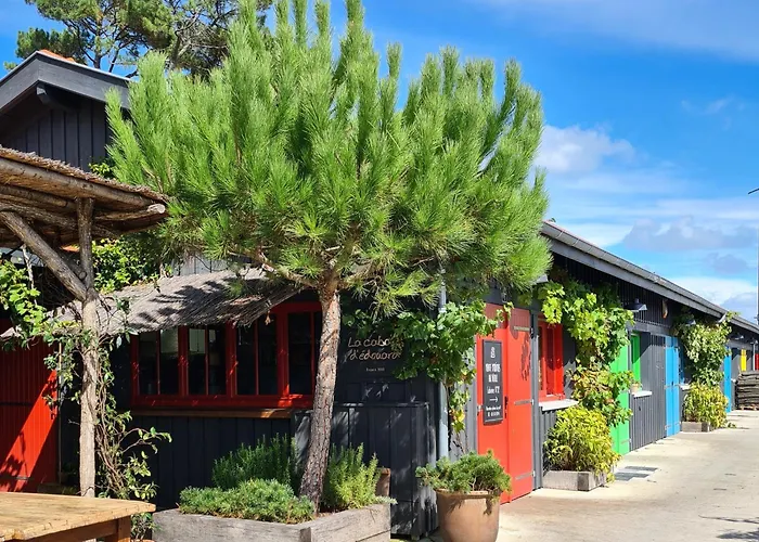 Joli Cap Ferret Les Viviers Кемпинг